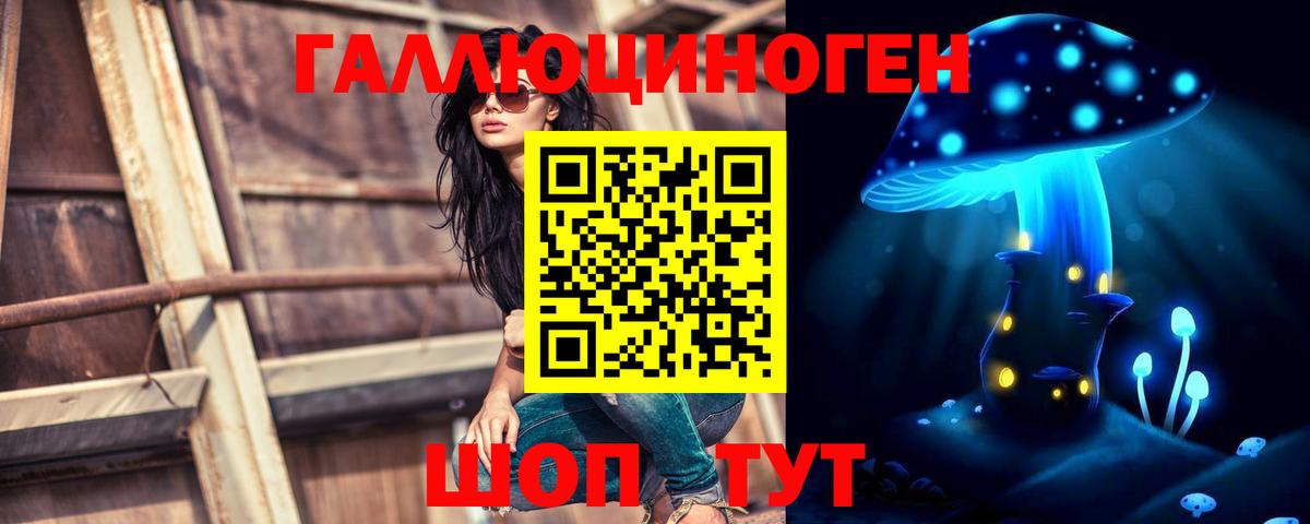 Галлюциногенные грибы GOLDEN TEACHER Новошахтинск